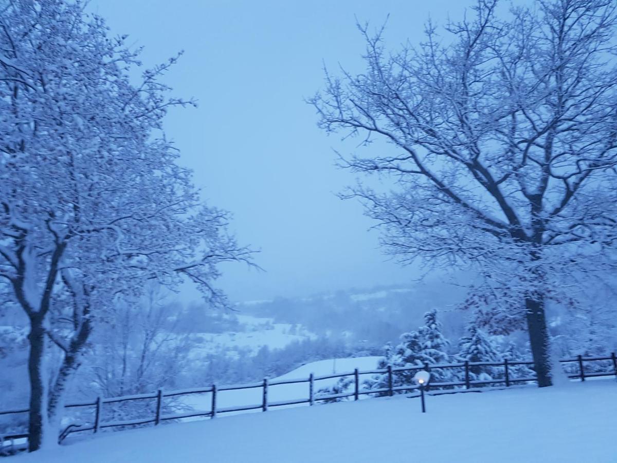 Casa Vacanze Fattoria Il Cerro Villa Pianelleto Dış mekan fotoğraf