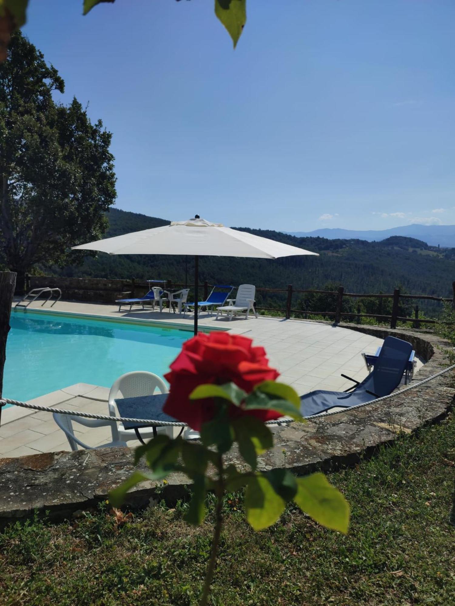 Casa Vacanze Fattoria Il Cerro Villa Pianelleto Dış mekan fotoğraf